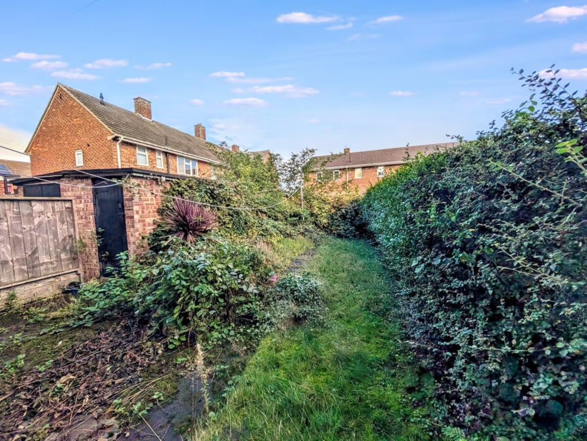 Rear garden before clearance
